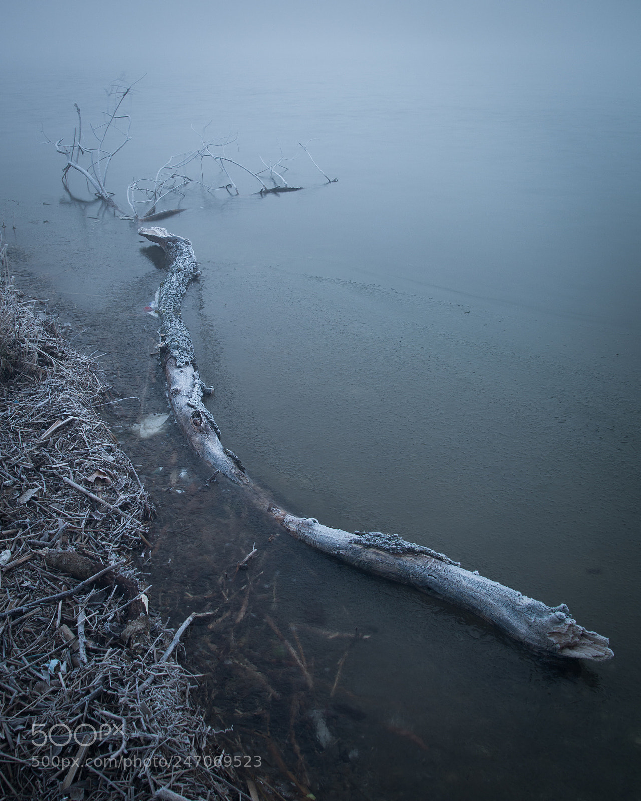 Nikon D7100 sample photo. On the shores of photography