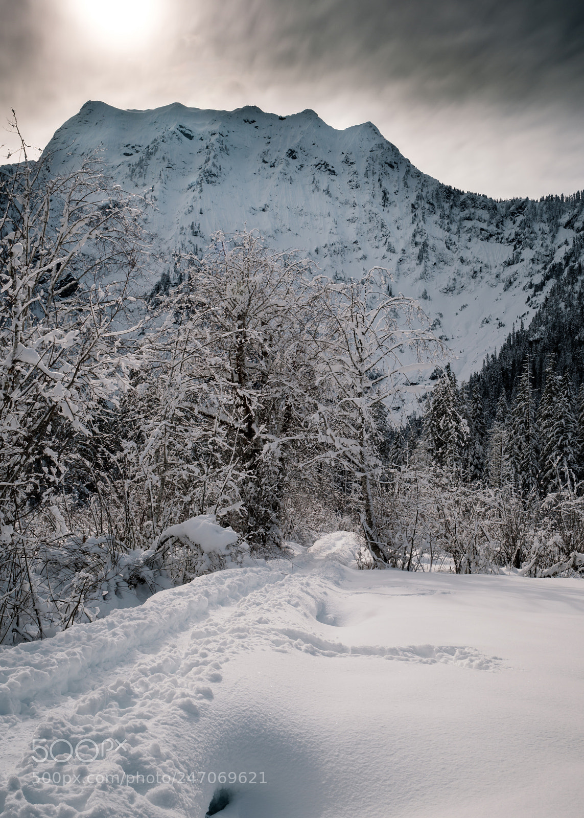 Fujifilm X-T2 sample photo. Big four mountain photography