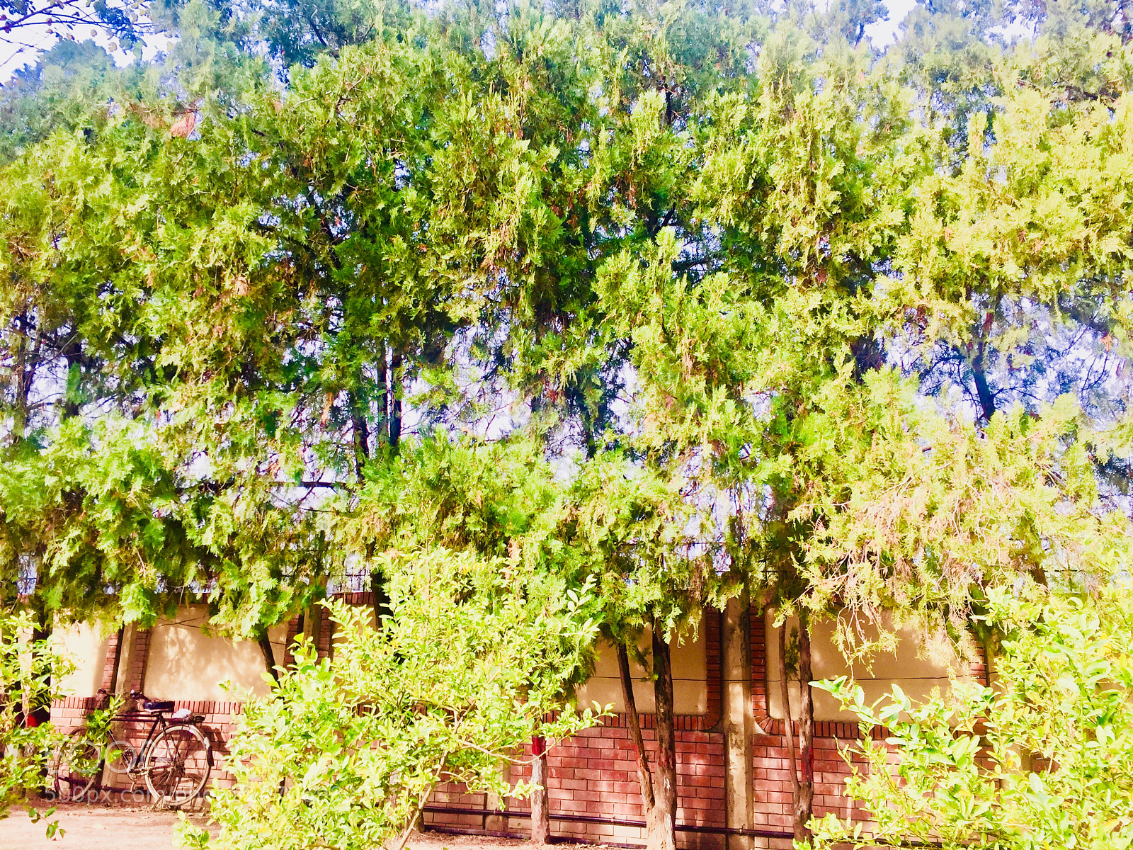 Apple iPhone 6 sample photo. Untitled photography