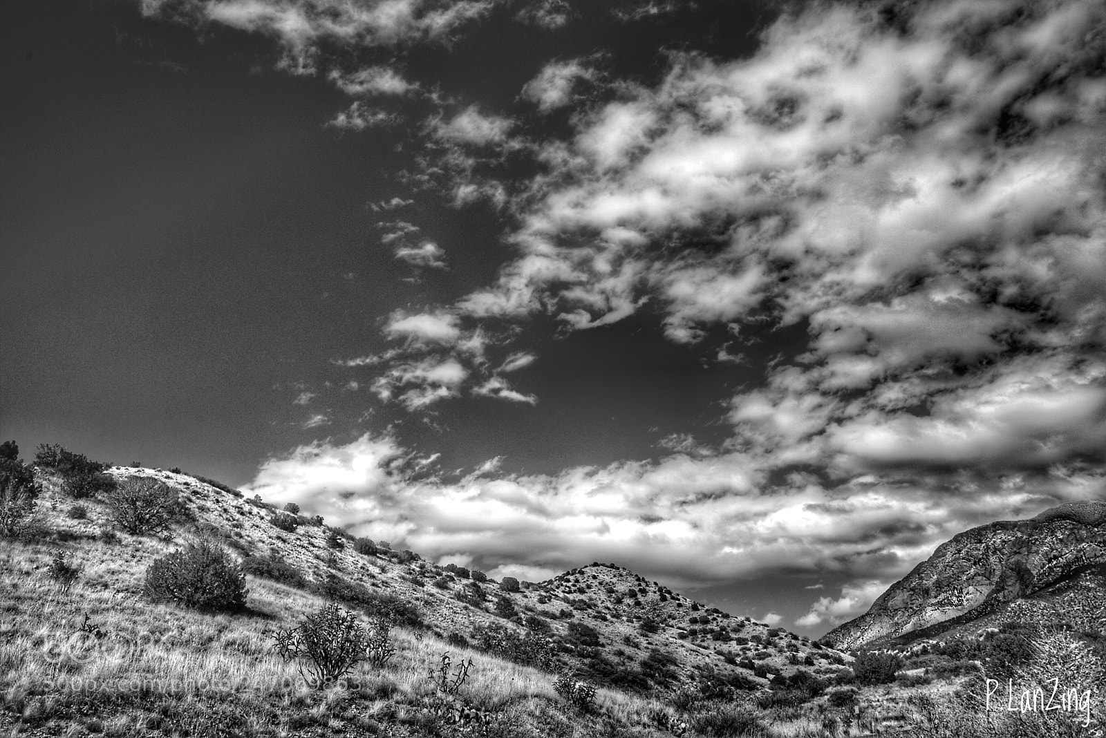 Nikon D810 sample photo. New mexico meditation photography