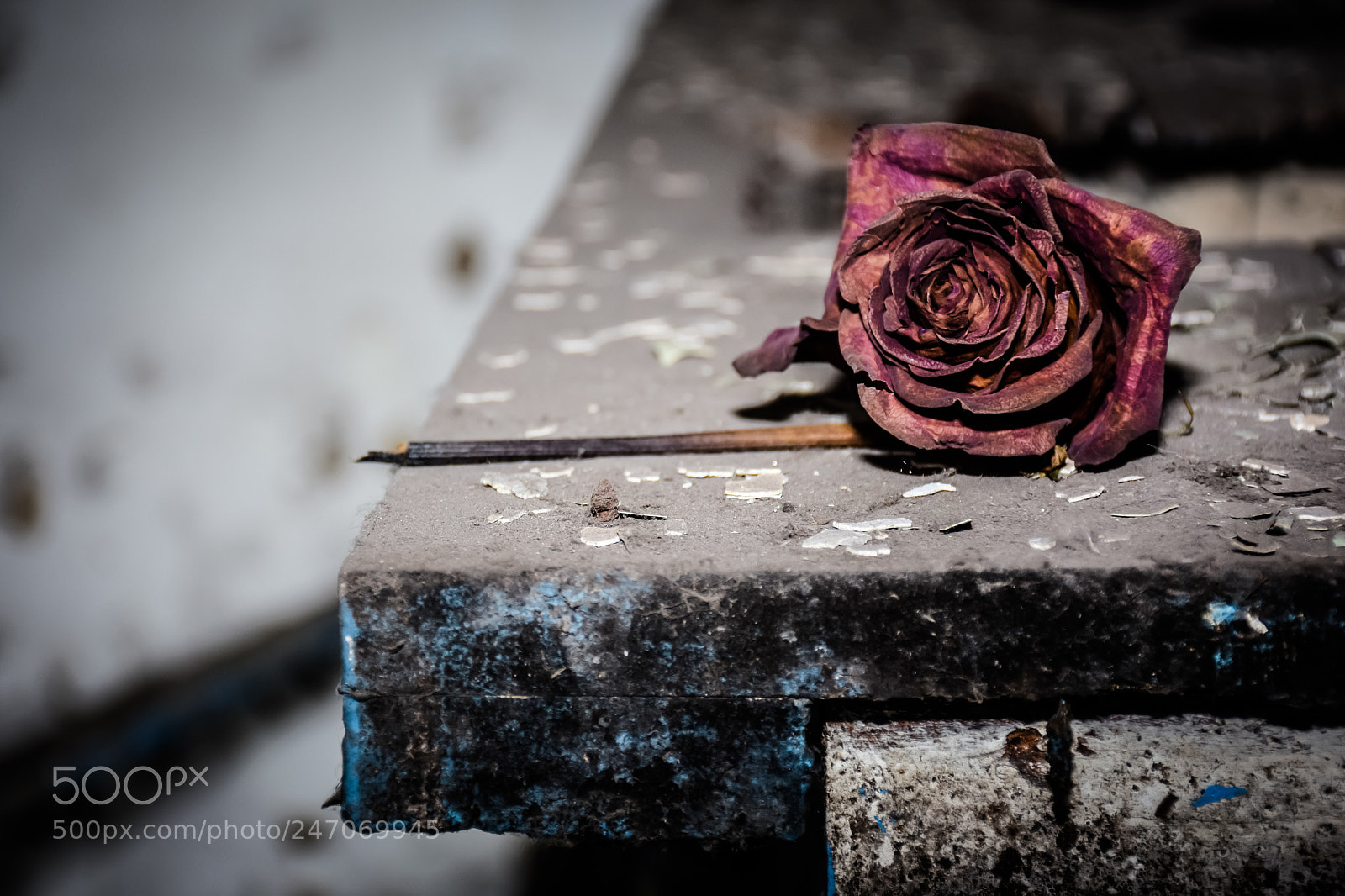 Nikon D7200 sample photo. Urban photography