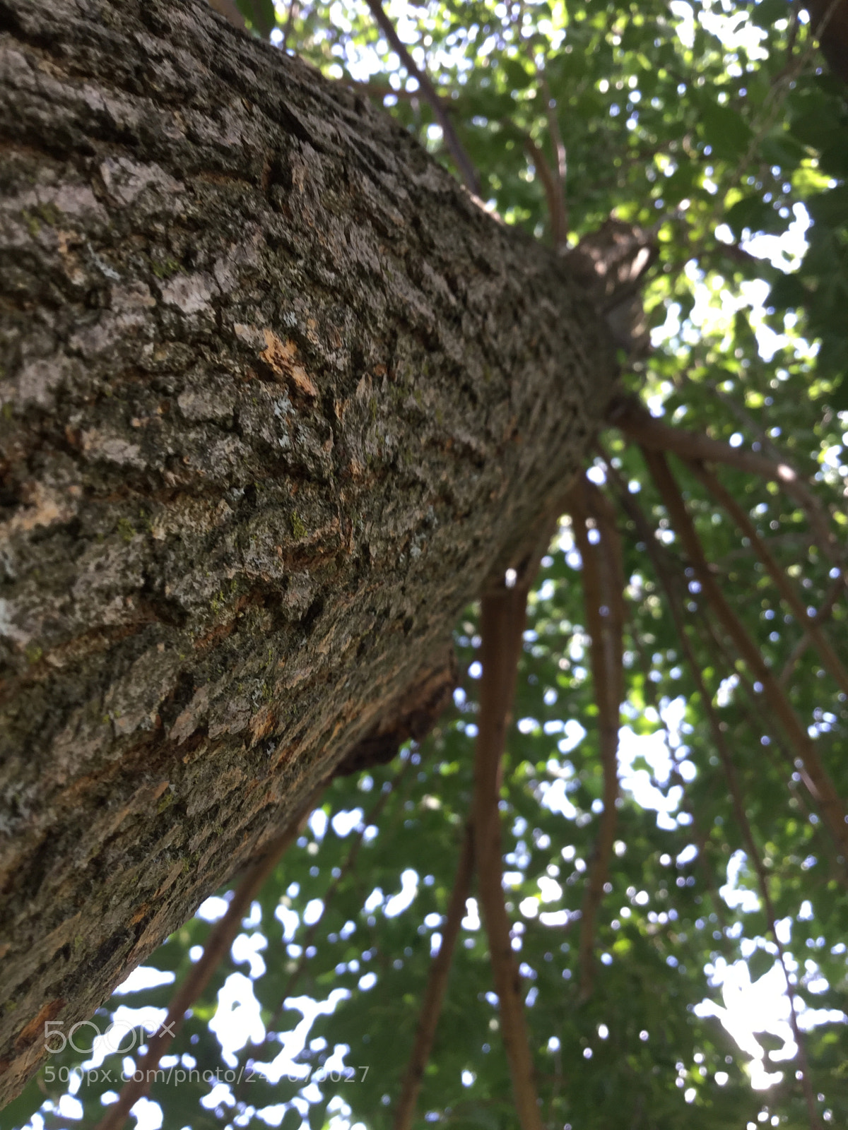 Apple iPod touch sample photo. The beauty of a photography