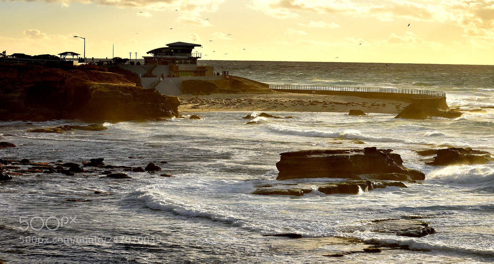 Nikon D3400 sample photo. La jolla photography