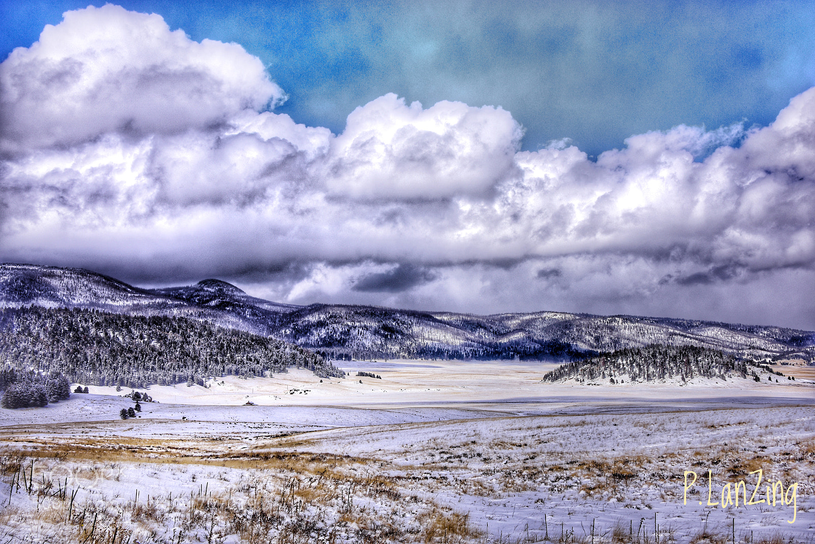 Nikon D810 sample photo. Valles caldera, new mexico... photography