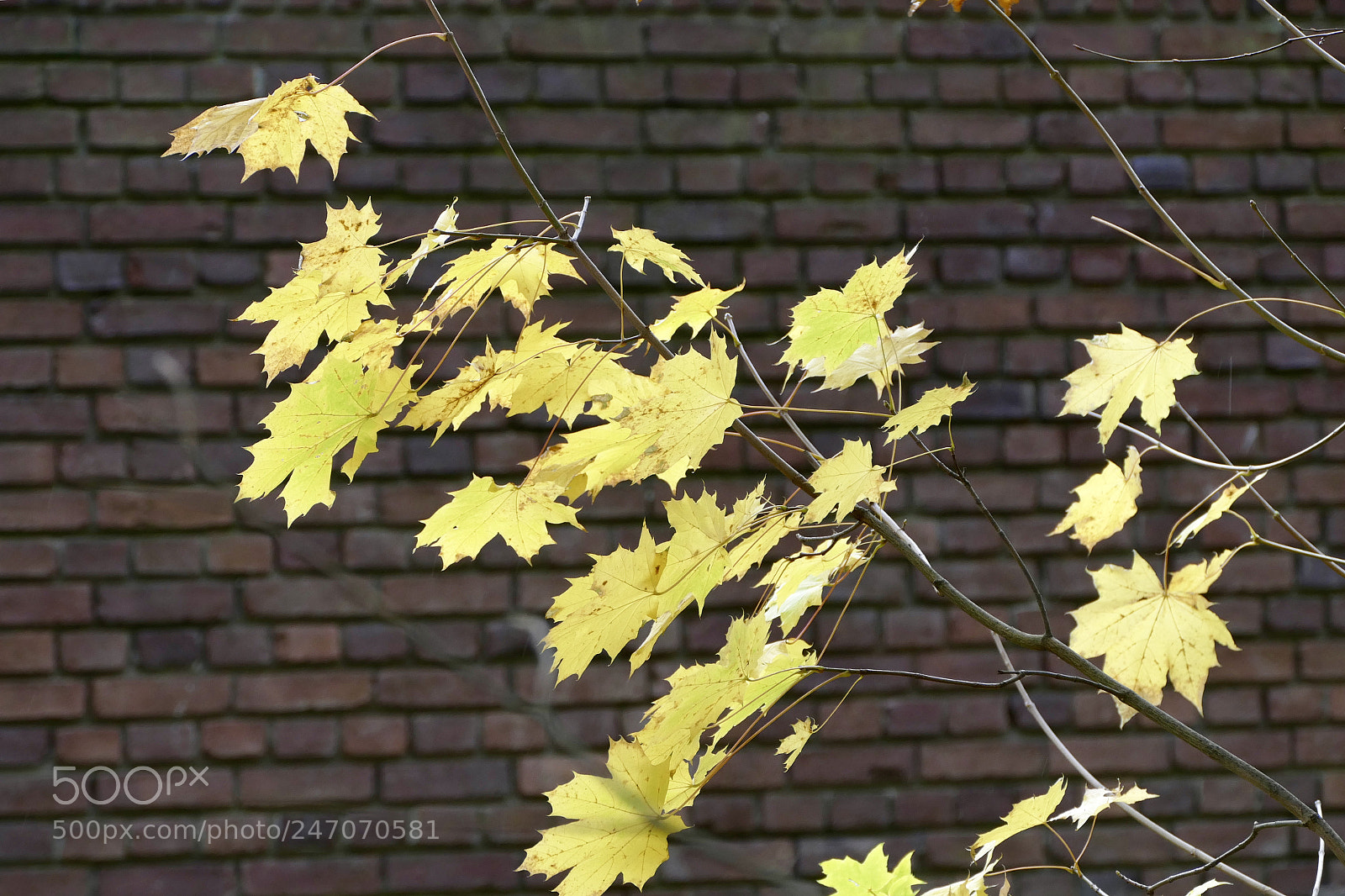 Panasonic Lumix DMC-FZ1000 sample photo. In lund,sweden where i photography