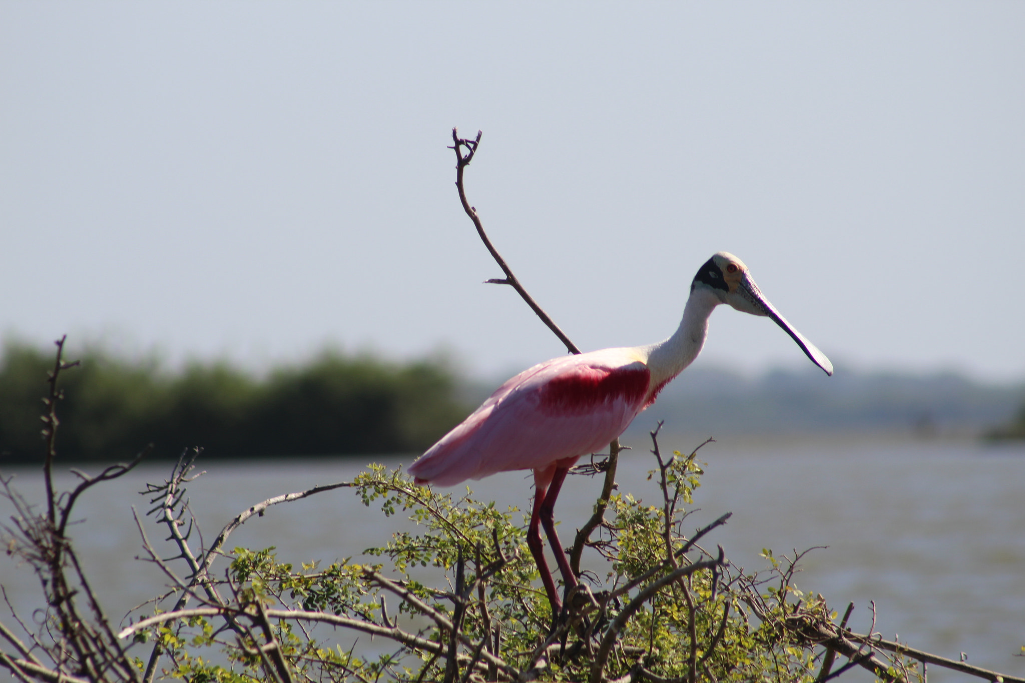 EF75-300mm f/4-5.6 sample photo