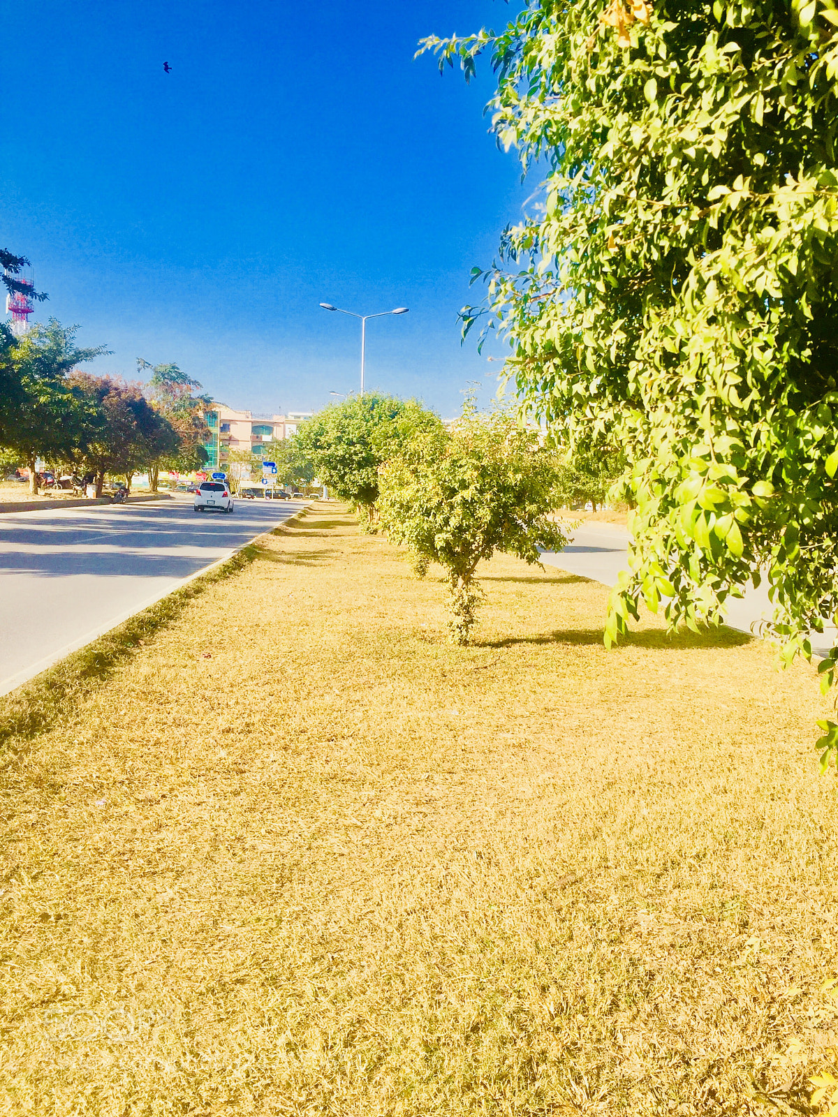 Apple iPhone 6 sample photo. Untitled photography
