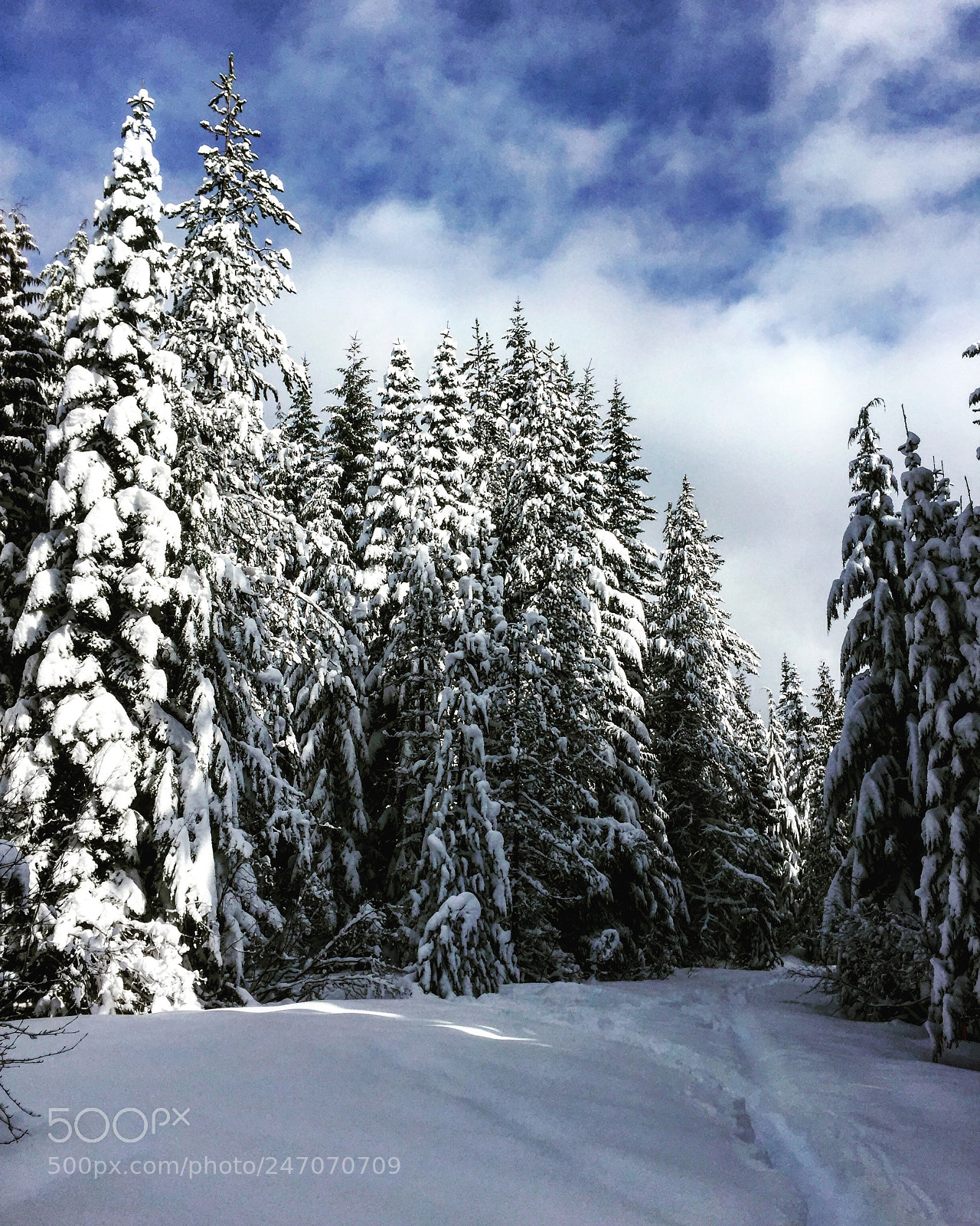 Apple iPhone 6 sample photo. Winter, oregon! photography