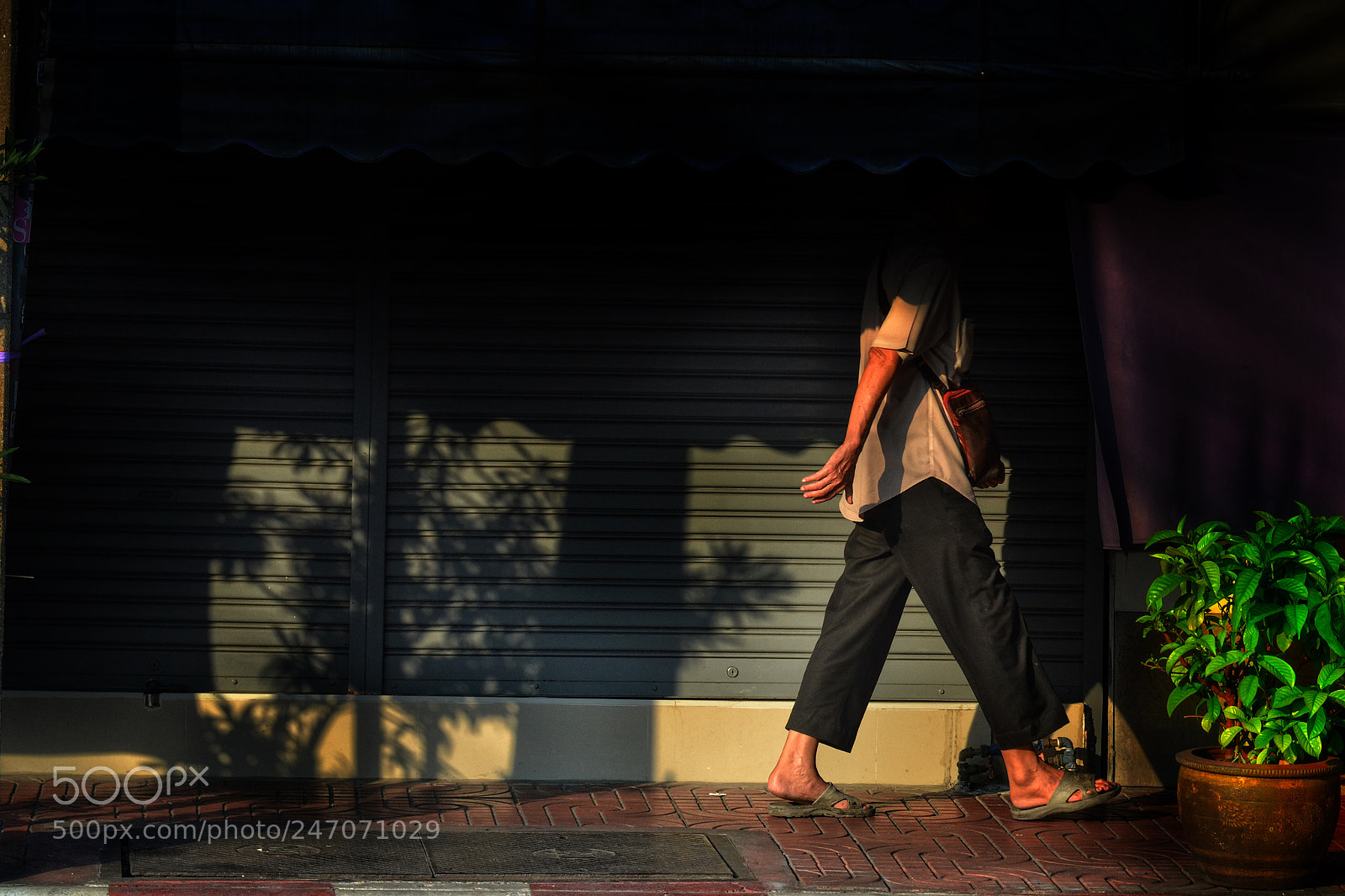 Nikon D3100 sample photo. Shadow photography