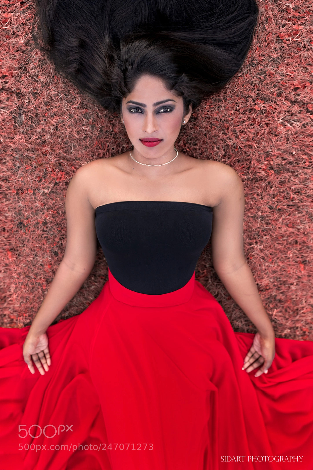 Nikon D850 sample photo. Red swan photography