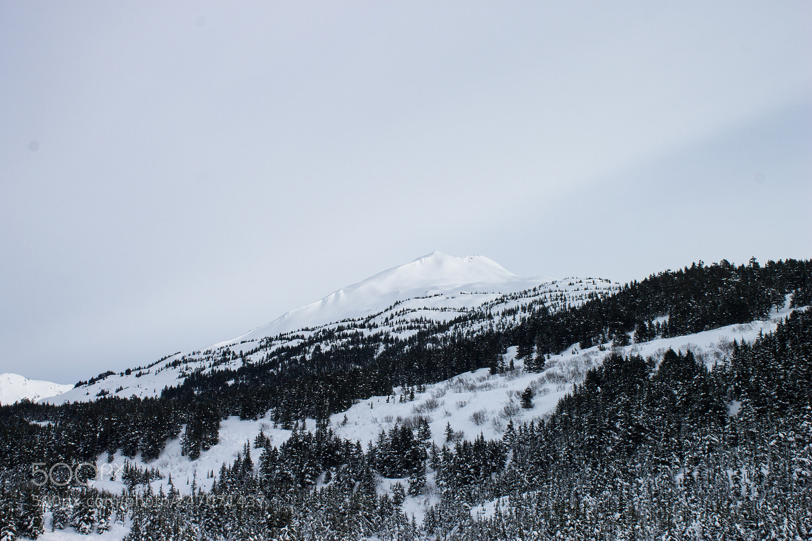 Canon EOS 1100D (EOS Rebel T3 / EOS Kiss X50) sample photo. Turnagain pass photography