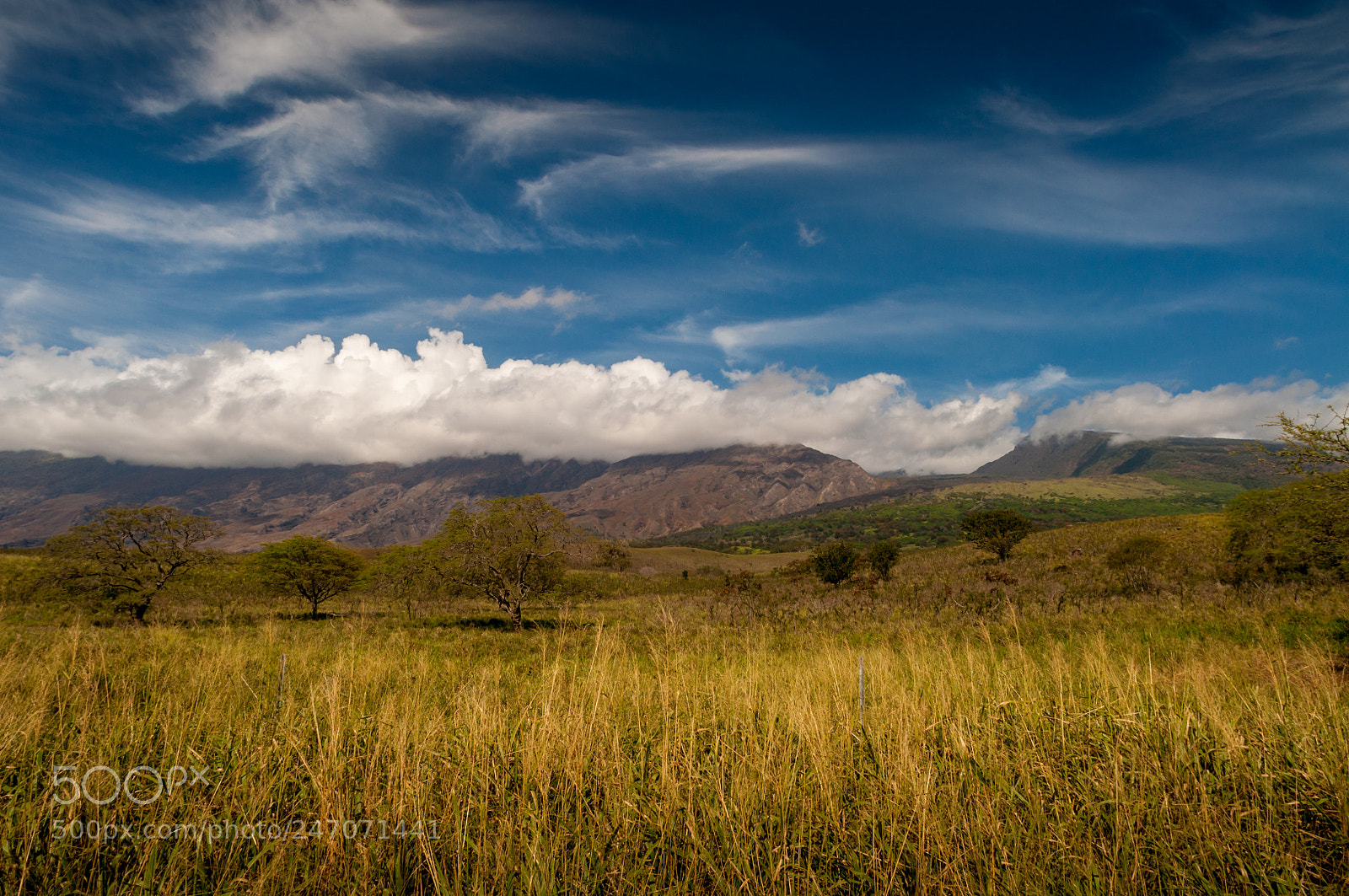 Nikon D90 sample photo. Maui hawaii photography
