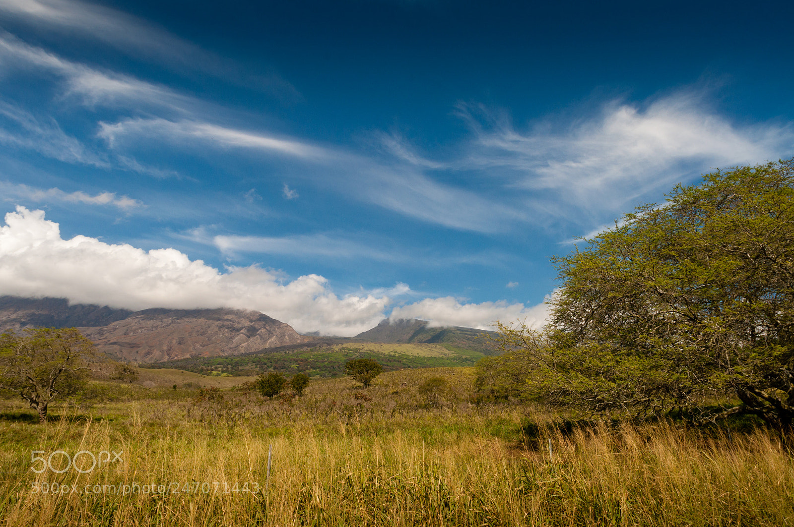 Nikon D90 sample photo. Maui hawaii photography