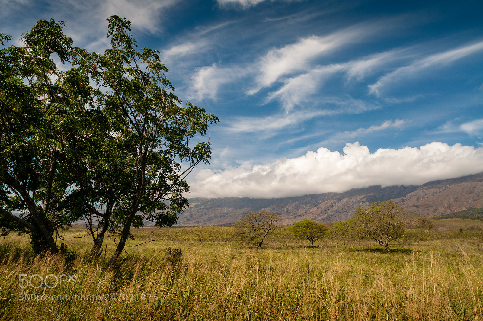 Nikon D90 sample photo. Maui hawaii photography