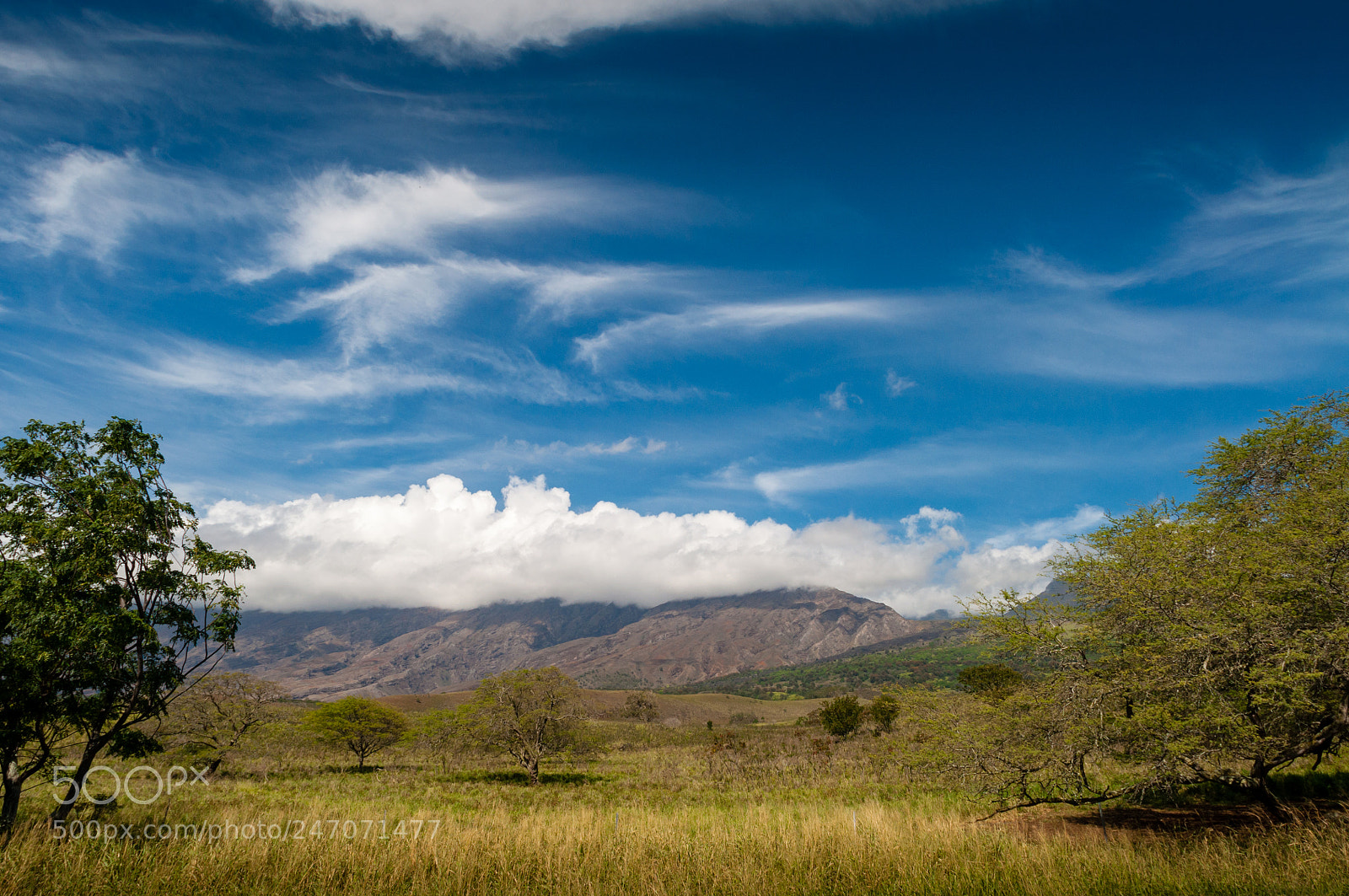 Nikon D90 sample photo. Maui hawaii photography