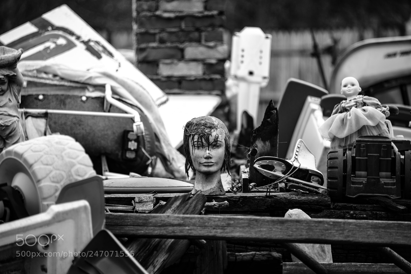 Nikon D810 sample photo. Trashed photography