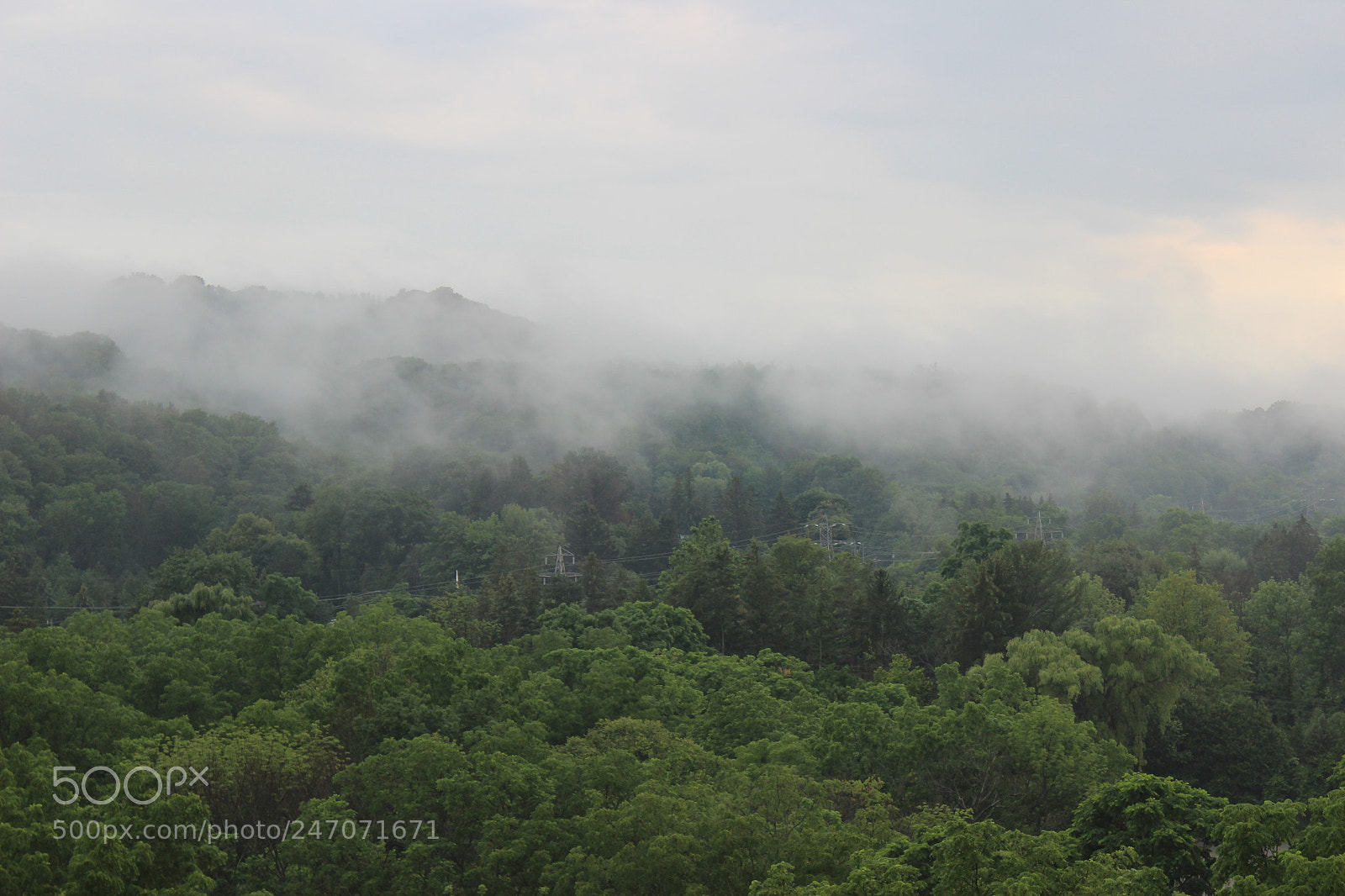 Canon EOS 600D (Rebel EOS T3i / EOS Kiss X5) sample photo. Early morning mist photography