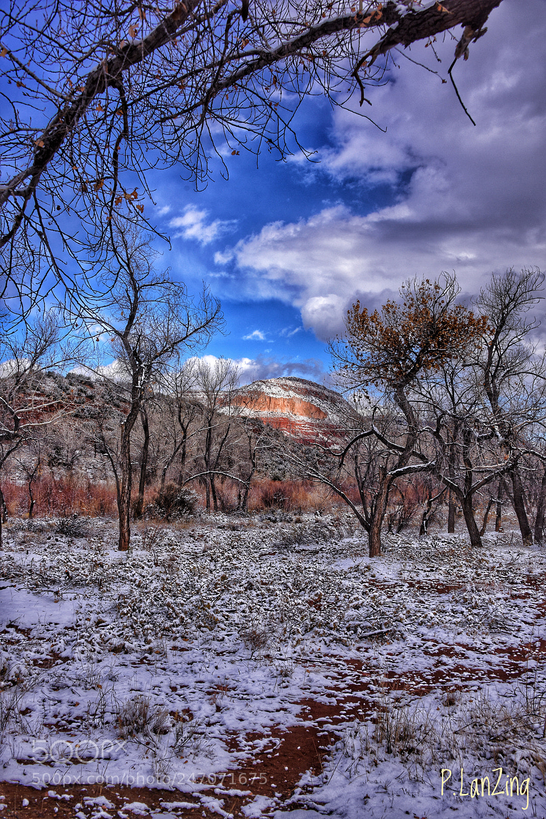 Nikon D810 sample photo. Winter in the jemez photography