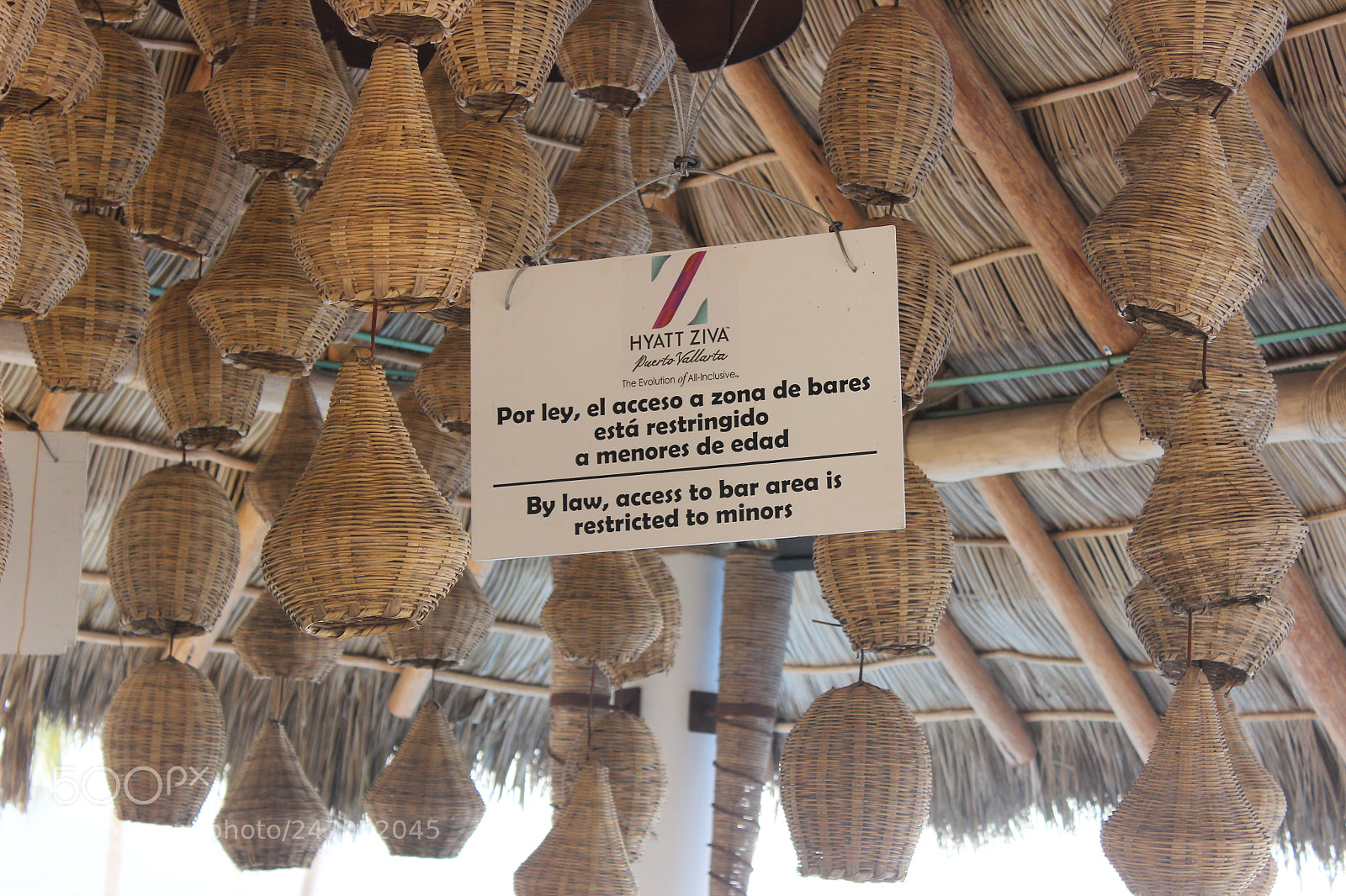 Canon EOS 600D (Rebel EOS T3i / EOS Kiss X5) sample photo. Bar sign puerto vallarta photography