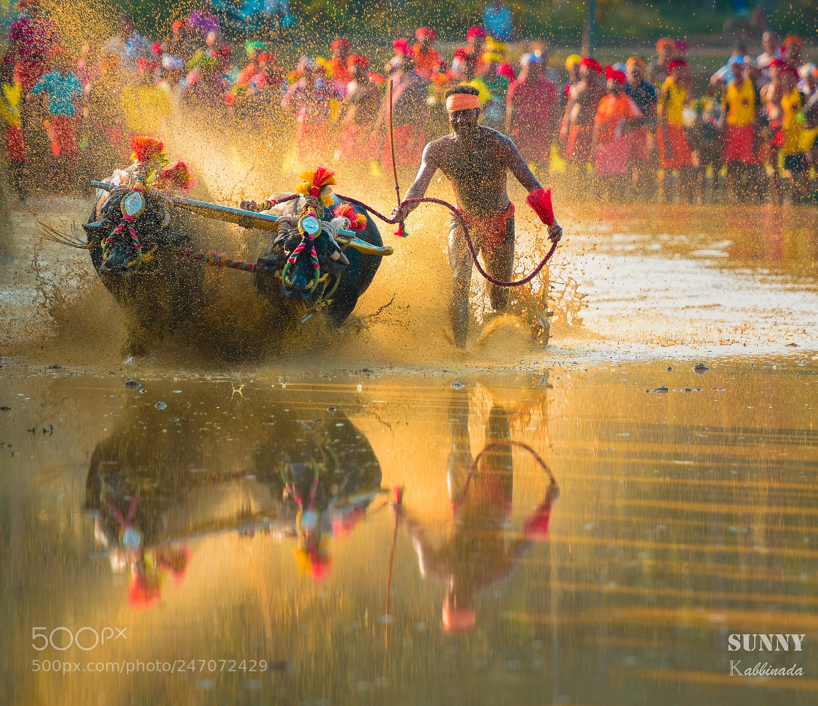 Nikon D7200 sample photo. Kambala photography
