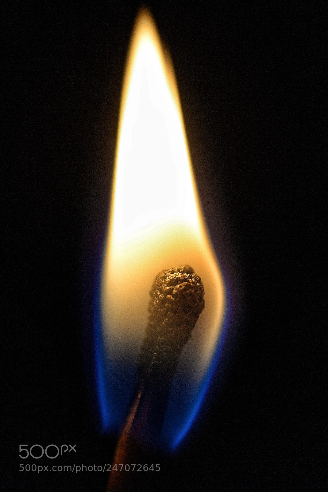 Nikon D610 sample photo. I'm just scared in photography