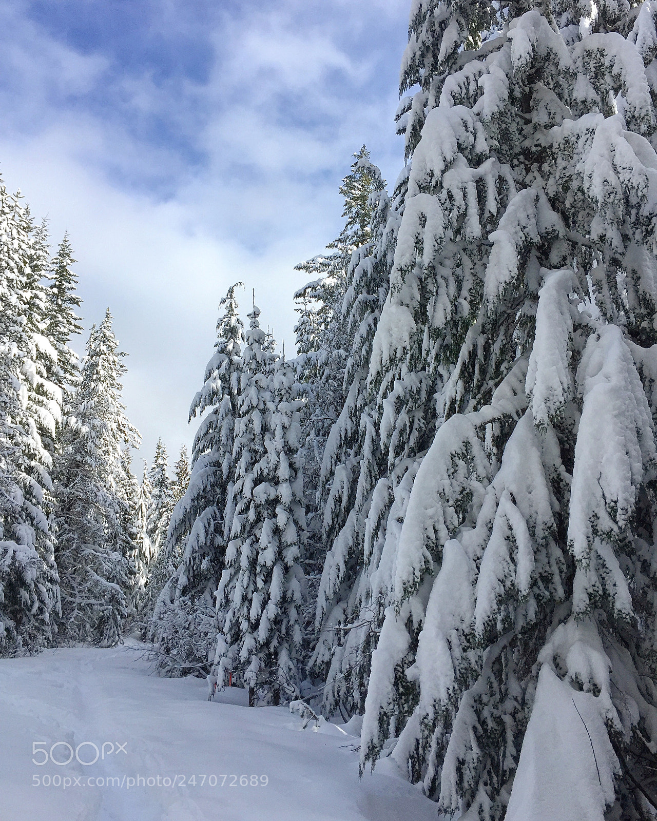 Apple iPhone 6 sample photo. Winter, oregon! photography