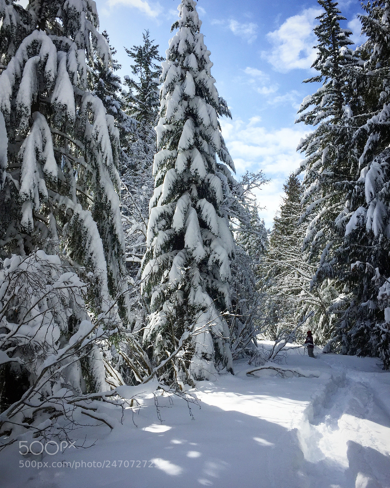 Apple iPhone 6 sample photo. Winter, oregon. photography