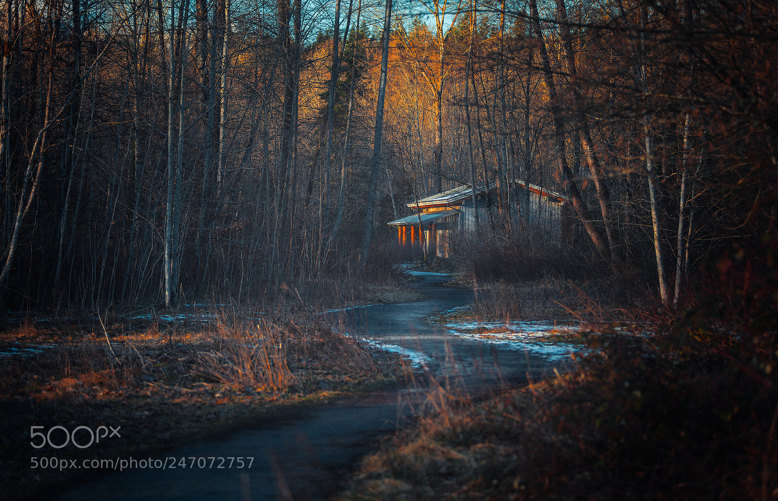 Canon EOS 5DS R sample photo. Maplewood flats conservation area photography