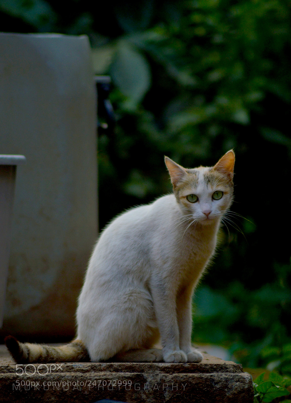 Nikon D3200 sample photo. It's time for a photography