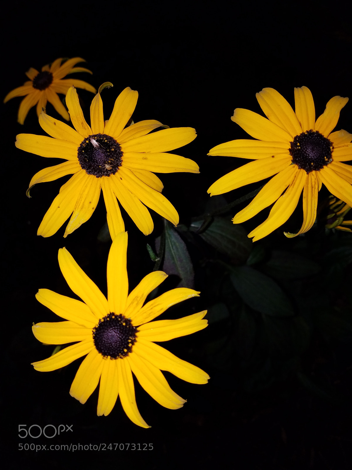 Samsung Galaxy S7 Edge sample photo. Untitled photography