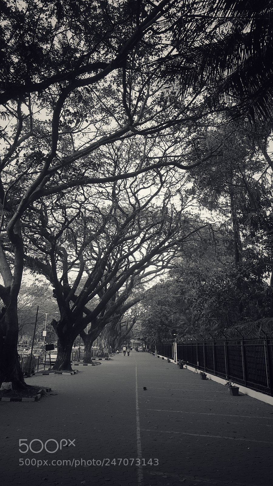 Samsung GALAXY S6 edge sample photo. A place of solace photography