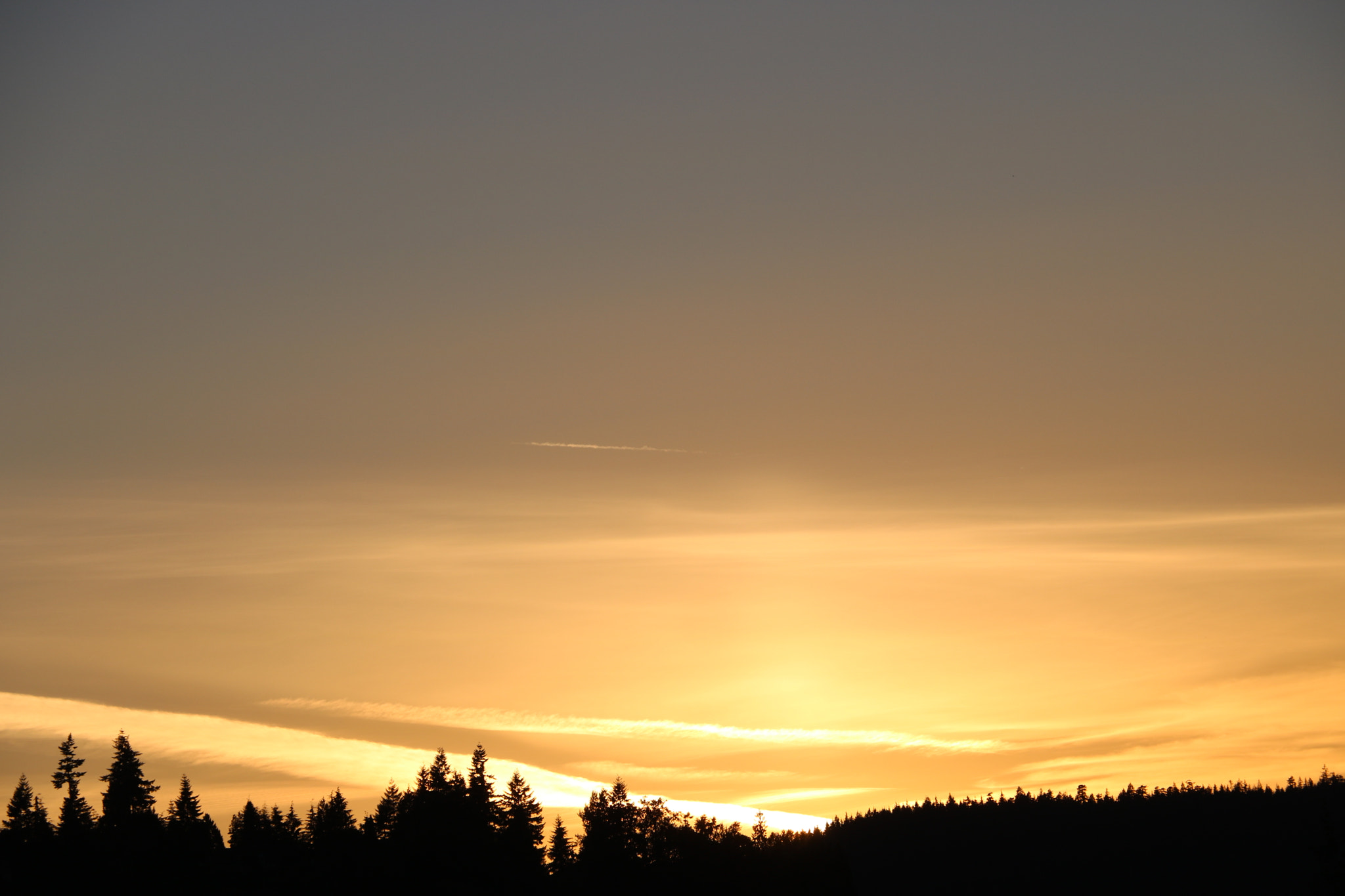 Canon EOS 750D (EOS Rebel T6i / EOS Kiss X8i) sample photo. Img photography
