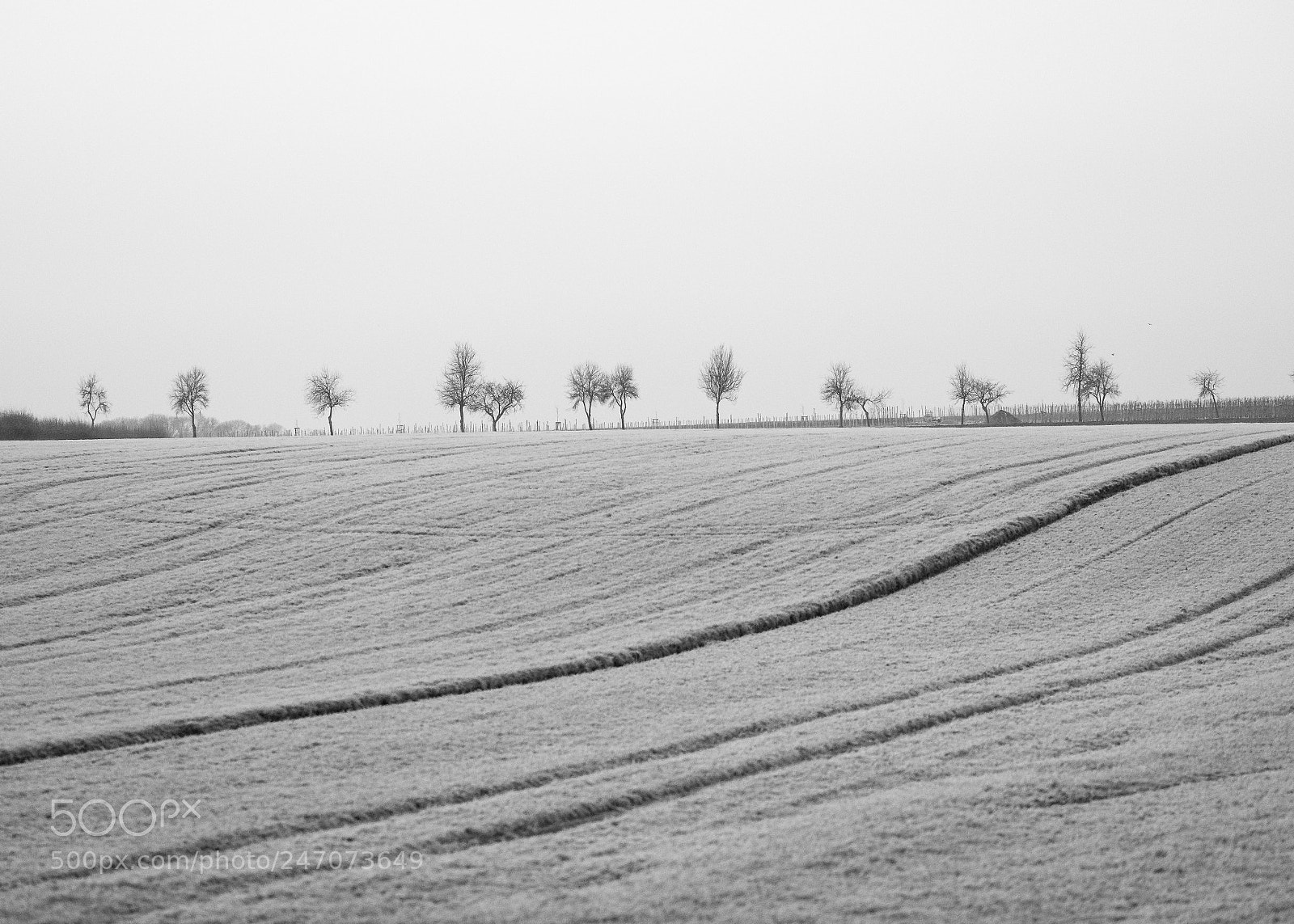 Fujifilm X-T2 sample photo. Frosty days 2 photography