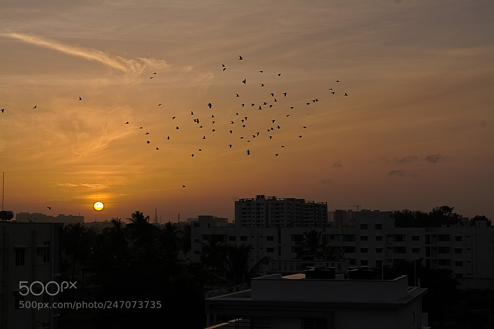 Nikon D5200 sample photo. Home view photography