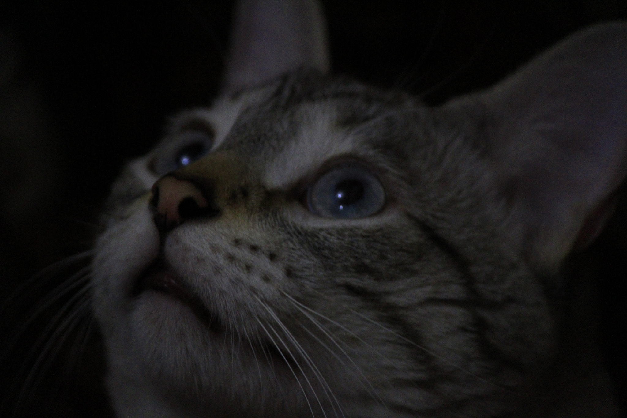 Canon EF-S 55-250mm F4-5.6 IS II sample photo. Sky photography