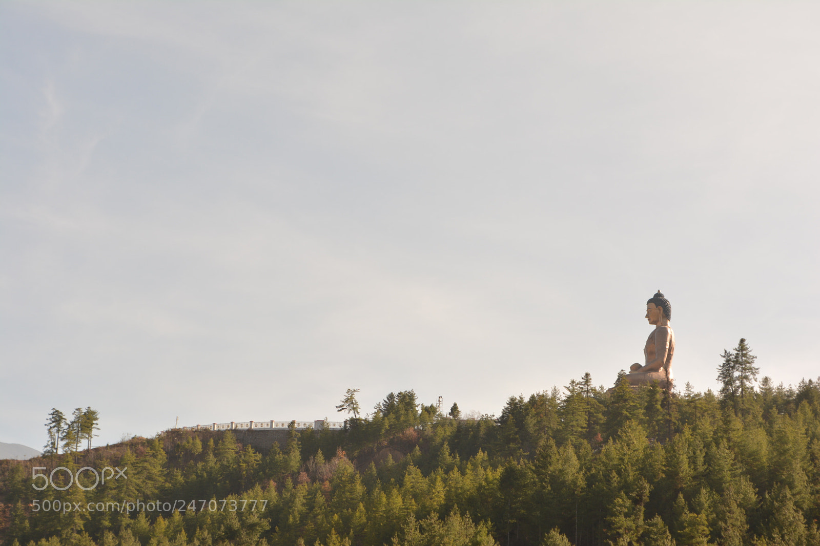 Nikon D5200 sample photo. Watching over city photography