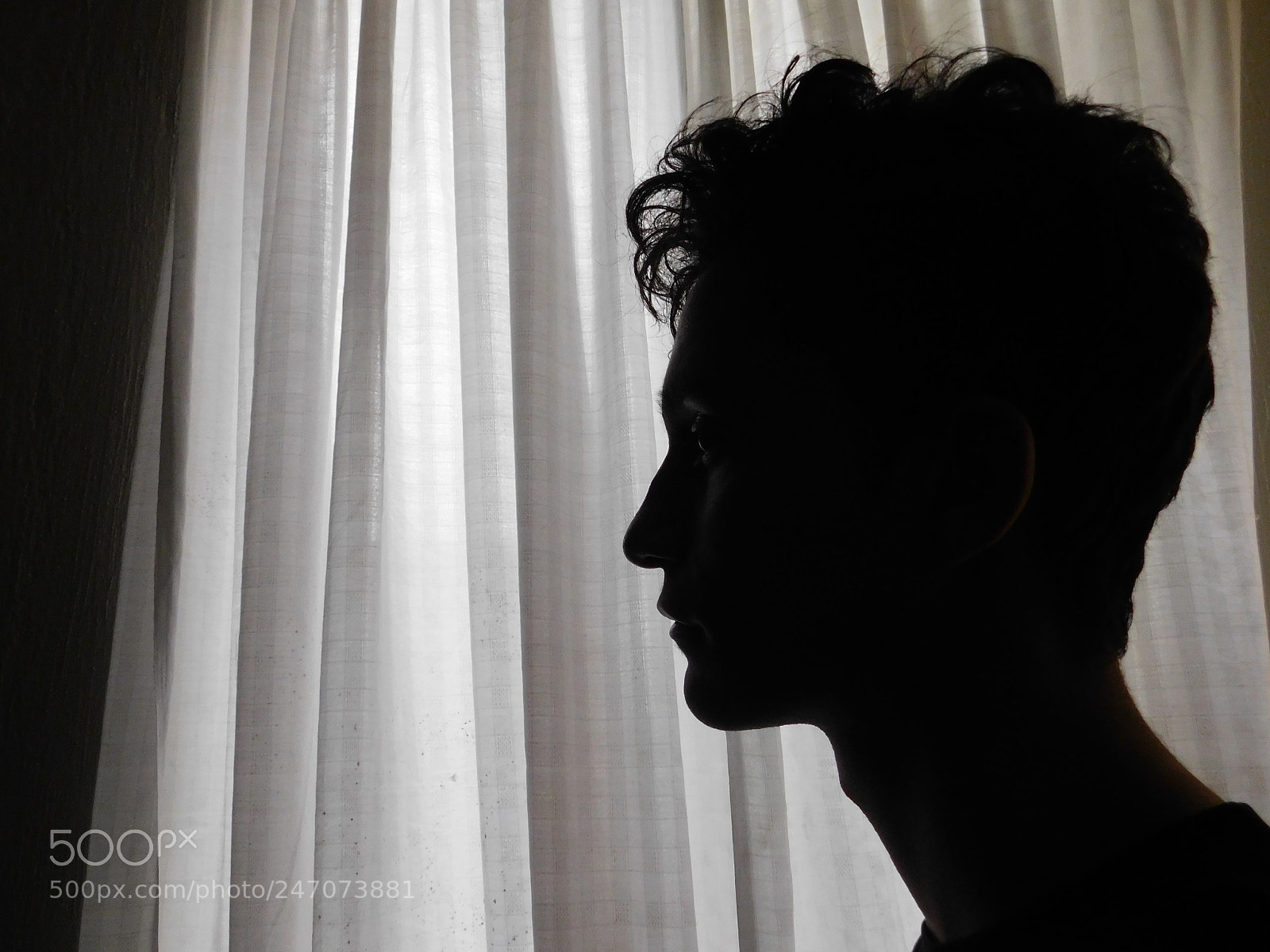 Nikon Coolpix B500 sample photo. Perfil photography