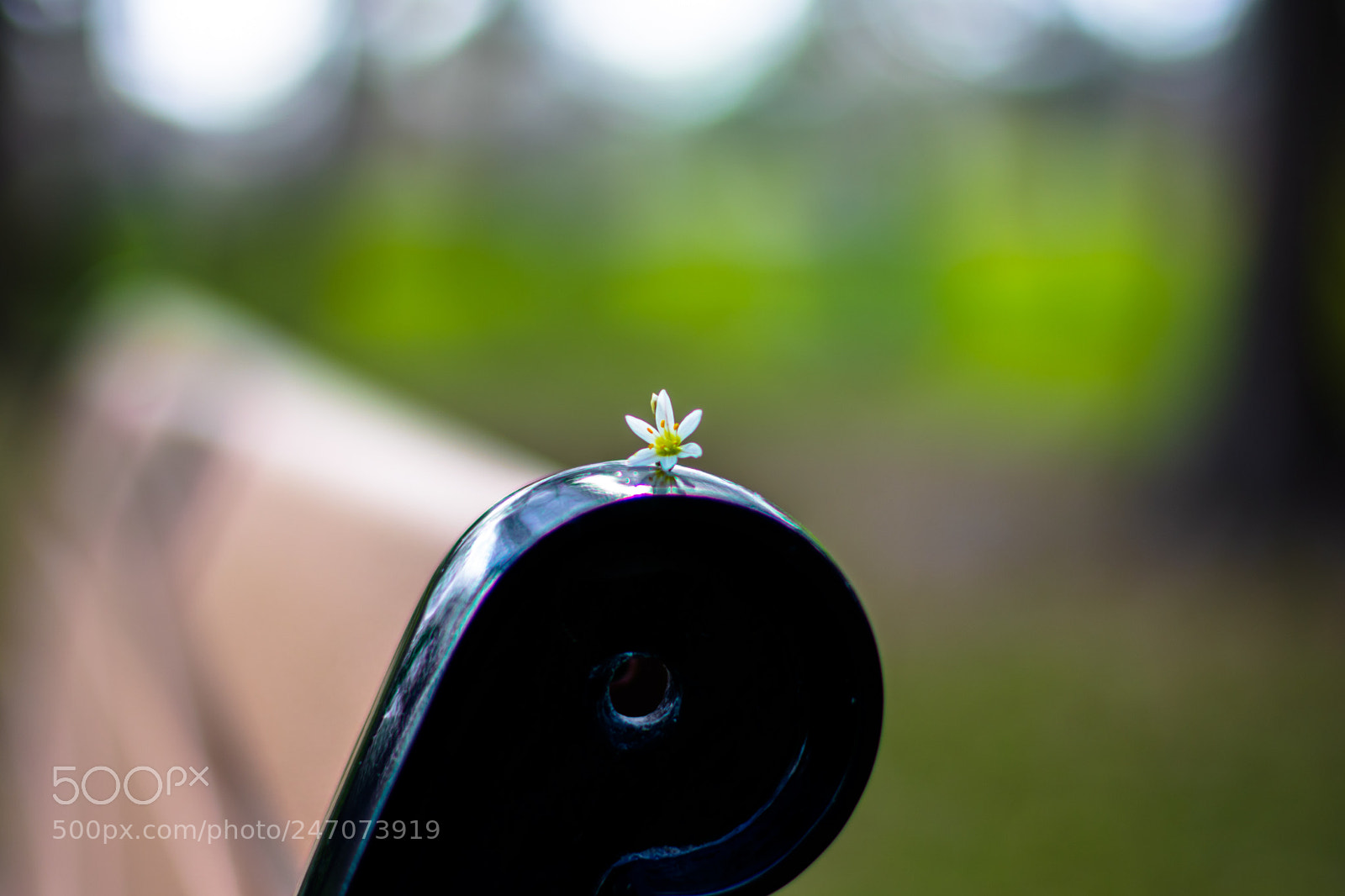 Nikon D3400 sample photo. Little beauty photography
