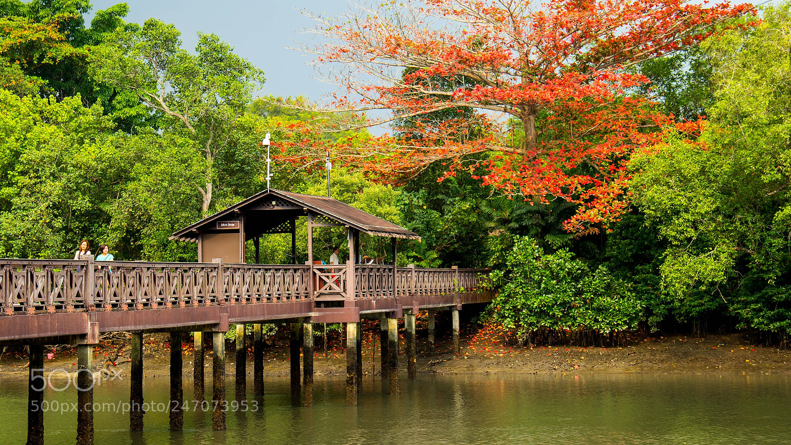 Canon EOS 600D (Rebel EOS T3i / EOS Kiss X5) sample photo. Autumn leaves photography