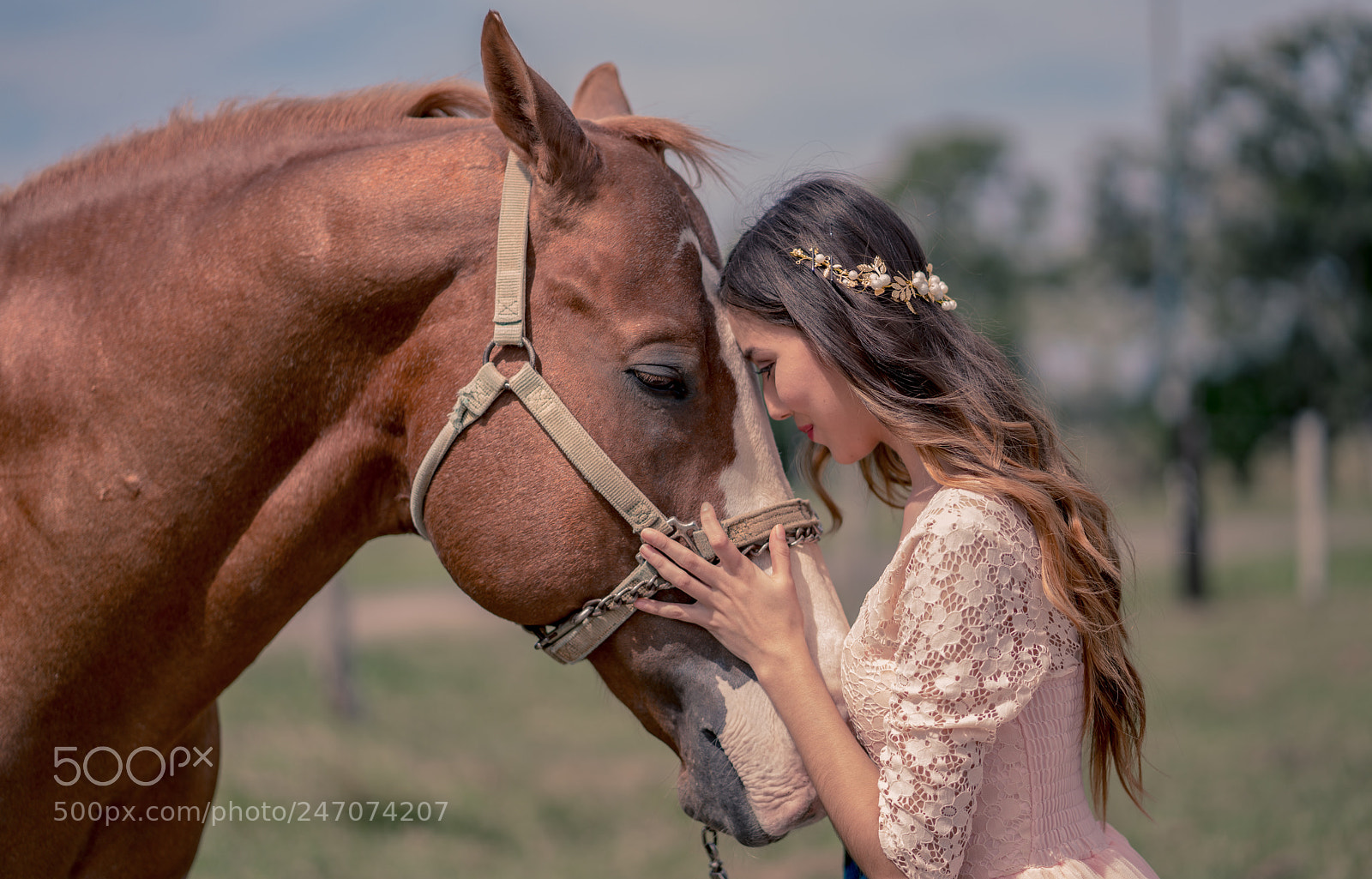 Sony a7R II sample photo. Model with horse photography