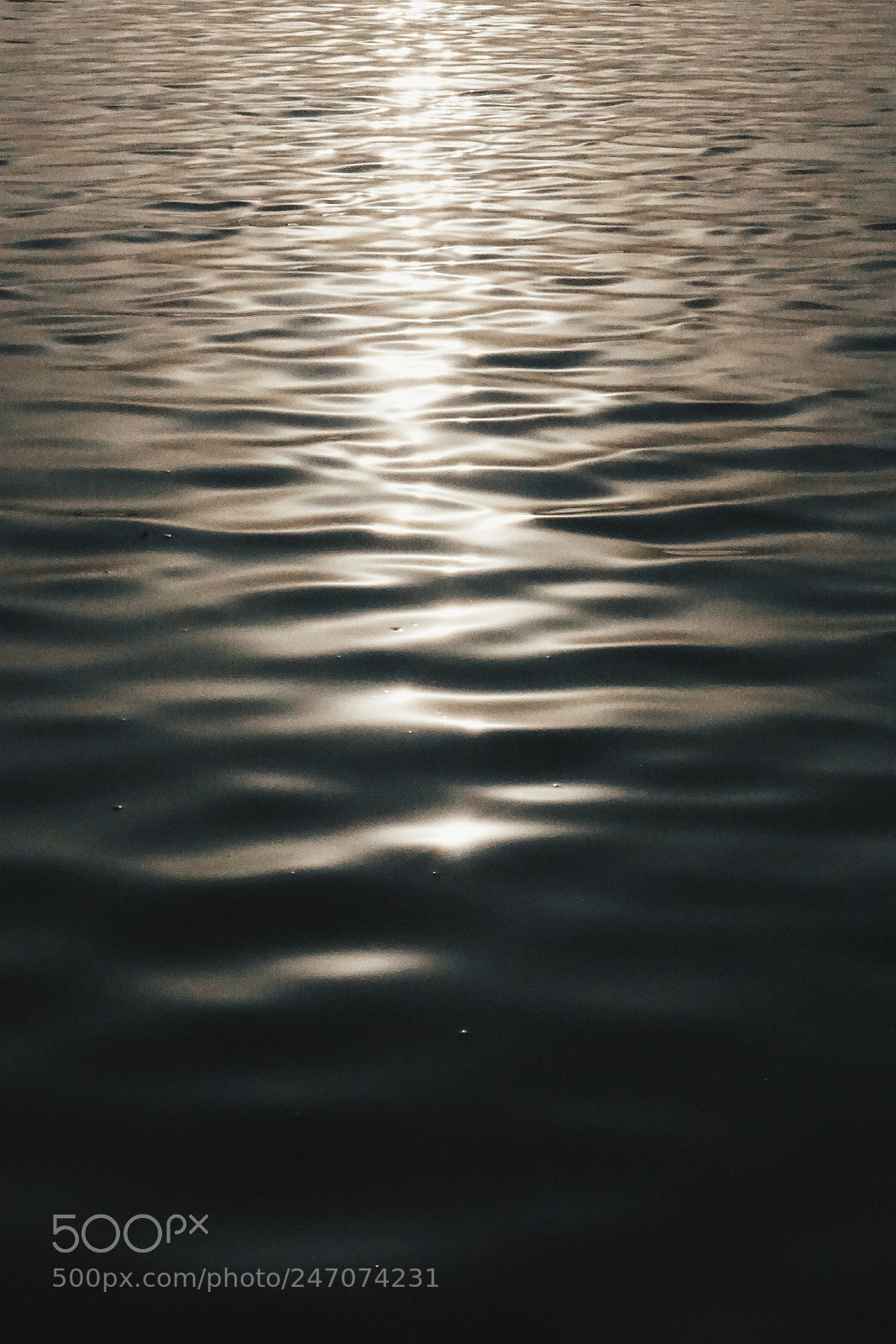 Sony a5100 sample photo. 波光粼粼 photography