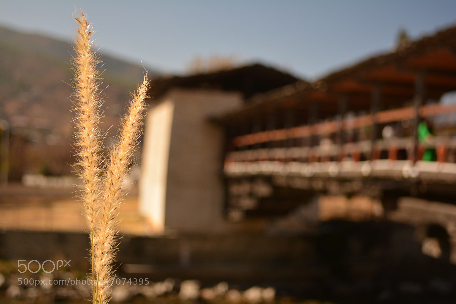 Nikon D5200 sample photo. Hold on to each photography