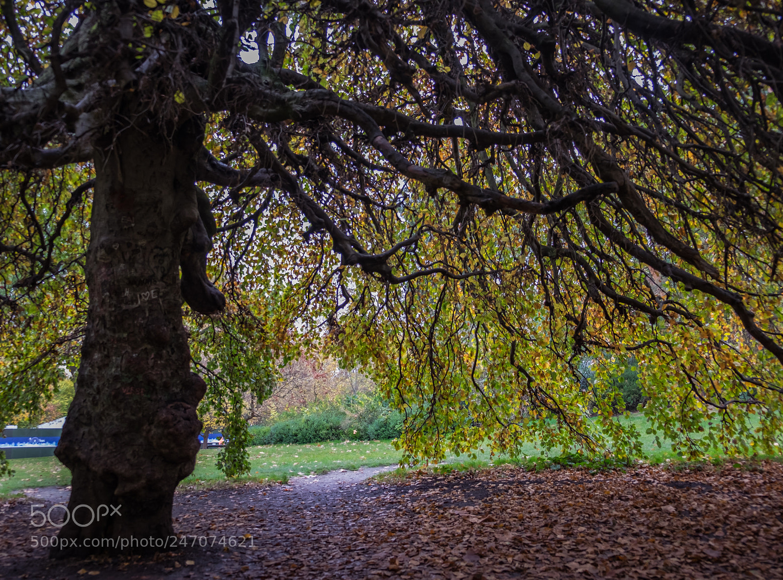Fujifilm X-E2 sample photo. A secret place photography