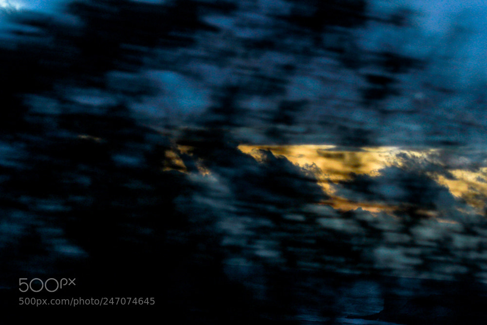 Canon EOS 7D sample photo. Golden blue rushes by photography