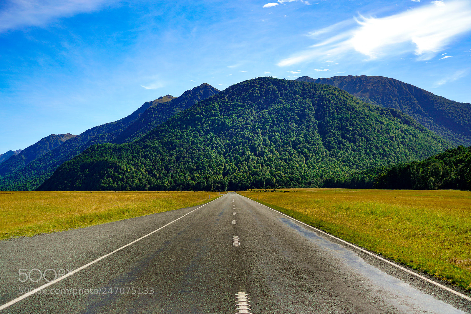 Sony a7R III sample photo. The road to milford photography
