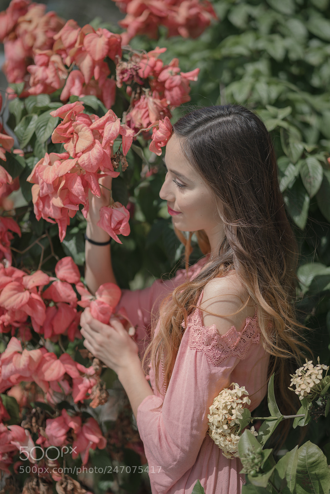 Sony a7R II sample photo. Model with flowers photography