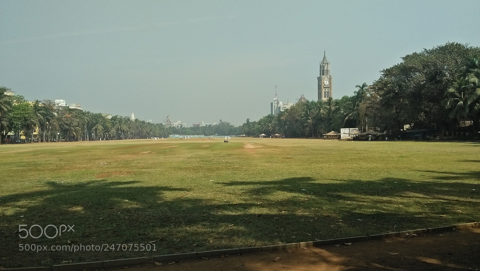 OPPO A37fw-International sample photo. Open ground photography
