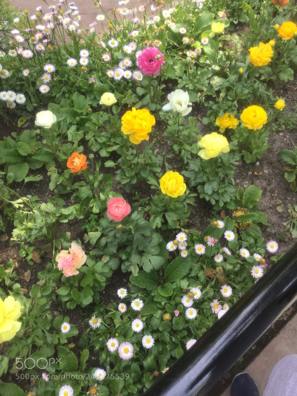 Apple iPad Air 2 sample photo. Untitled photography