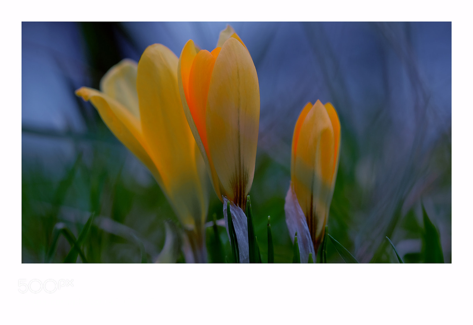 Fujifilm X-T1 sample photo. London photography