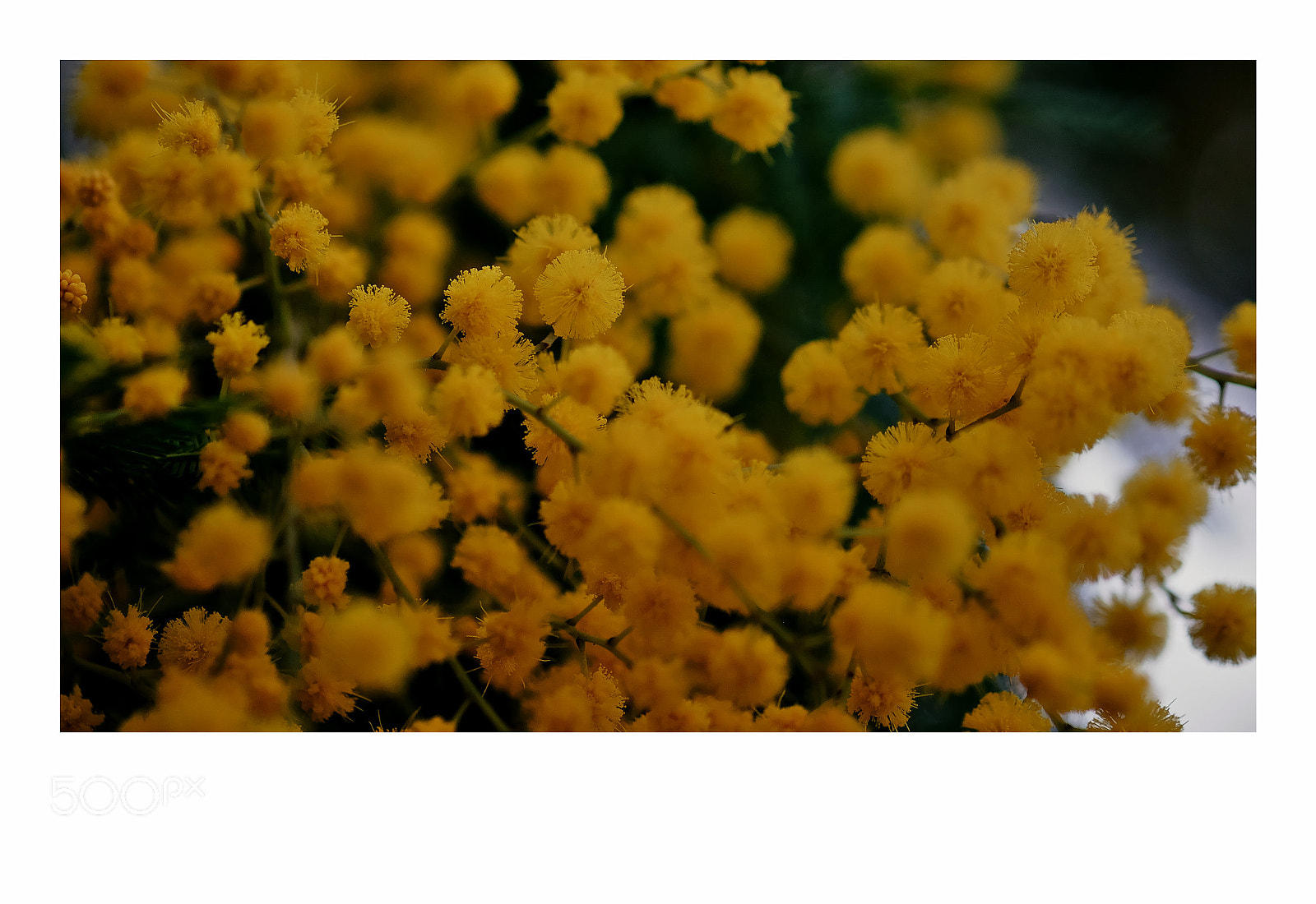 Fujifilm X-T1 sample photo. London photography